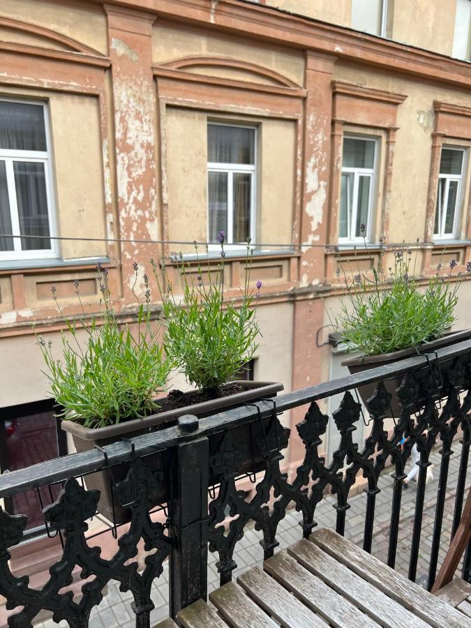 Old Town Apartment Kaunas Exteriér fotografie